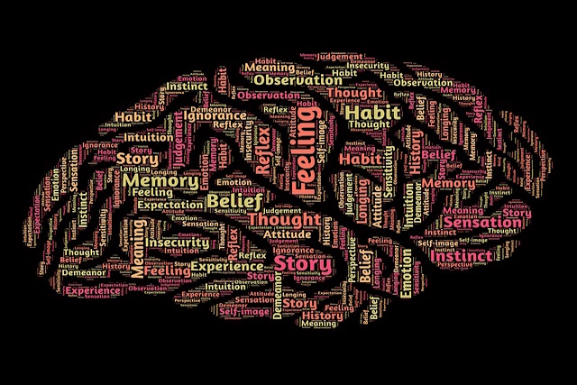 Train je hersenen met kruiswoordpuzzels